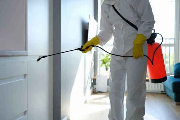 Best Crawl Space Mold Remediation in Terra Bella, CA