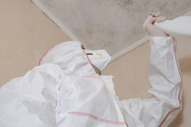 Best Preventive Mold Services in Terra Bella, CA
