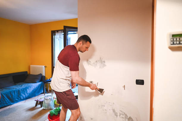 Best Mold Testing and Inspection Services in Terra Bella, CA